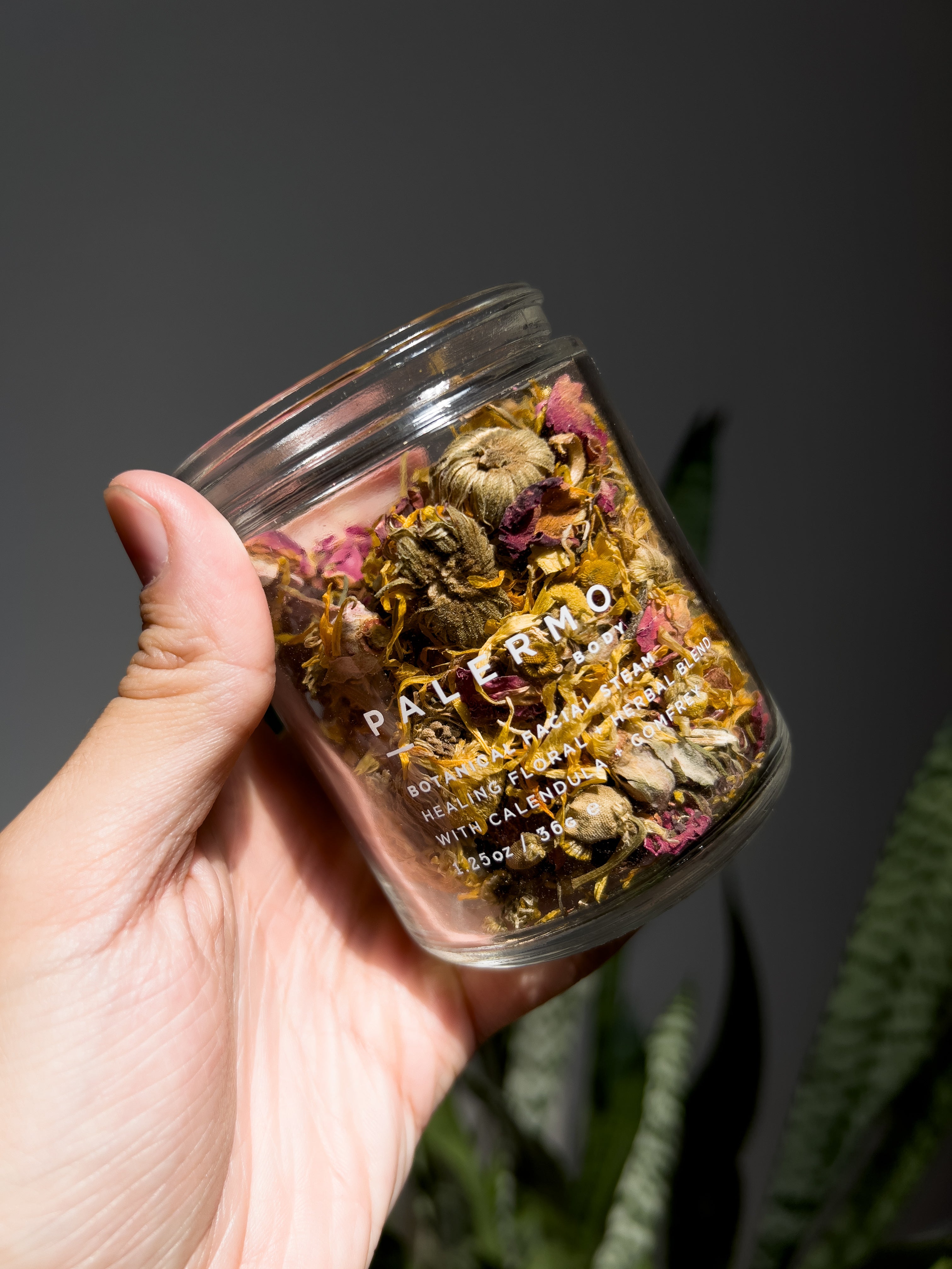 Modern Routines with Anthony Espino