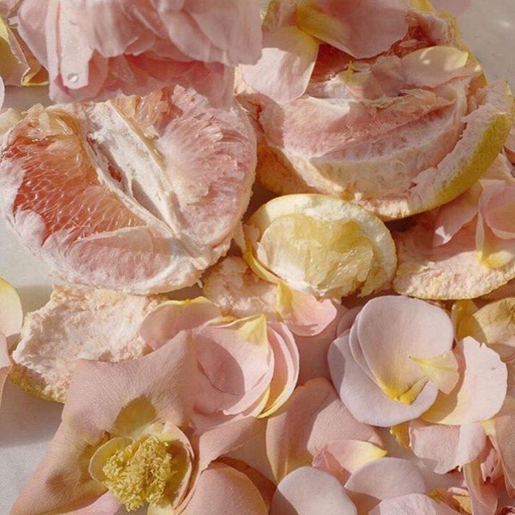 Jess’ 5 Must-Have Essential Oils