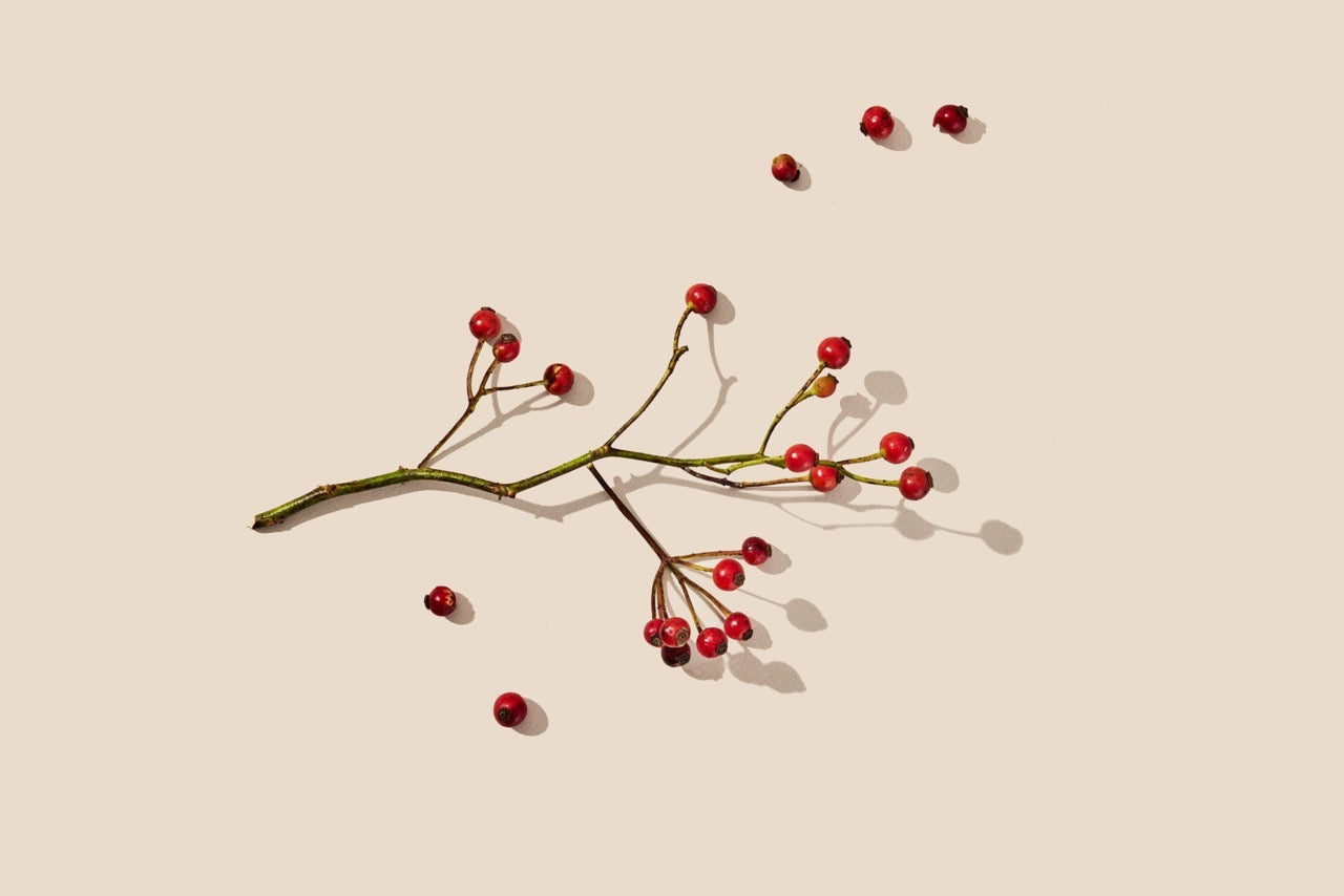 Rosehip